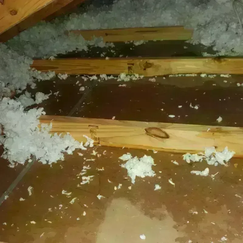 Attic Water Damage in Calhoun County, GA