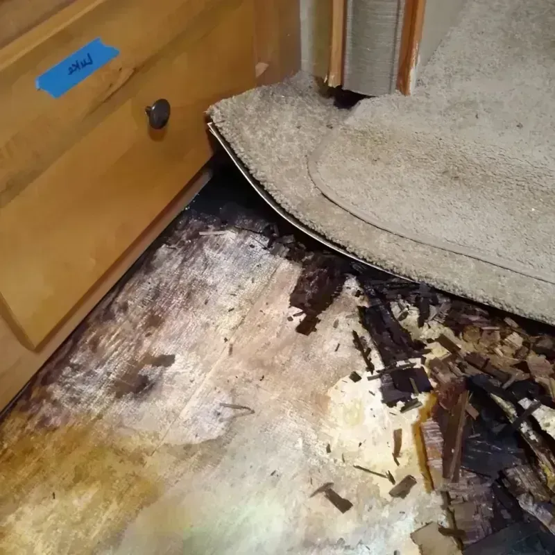 Wood Floor Water Damage in Calhoun County, GA